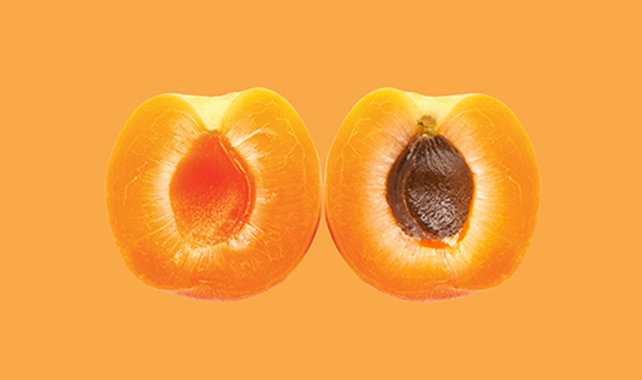 Pesche